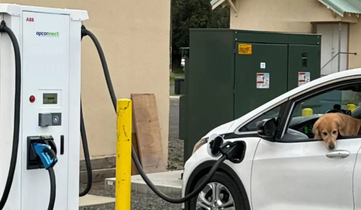 What to Look for in an EV Charging Partner from OpConnect at OpConnect-EV.com